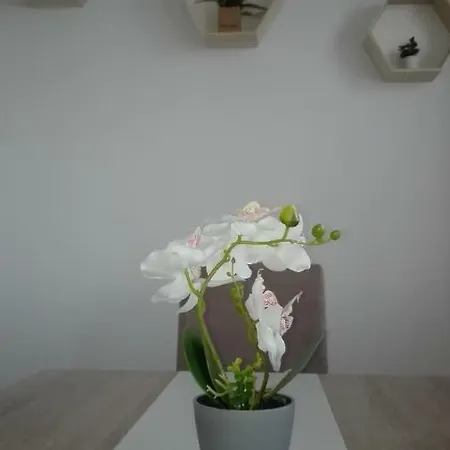 Marina Апартаменты Скопье